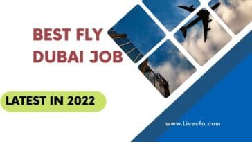 Best Fly Dubai Job | Latest In 2022