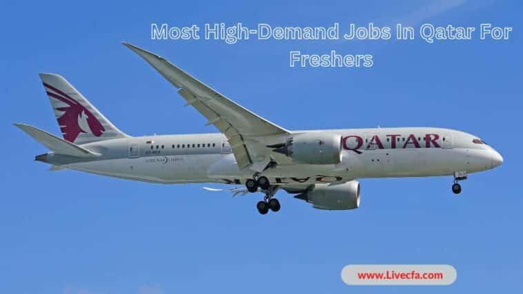 Most High-Demand Jobs In Qatar For Freshers