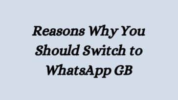 Reasons Why You Should Switch to WhatsApp GB