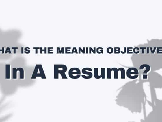 Tips To Make Perfect Resume Format - What Is The Meaning Objective In A Resume 561x421 