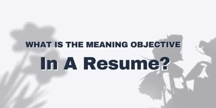 What Is the Meaning Objective In A Resume?