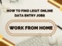 How To Find Legit Online Data Entry Work From Home Jobs?